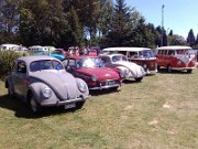 Beetle Show Rioz (105)